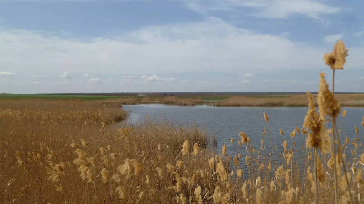 Камбулат