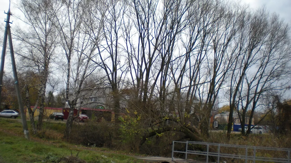 Кореновск